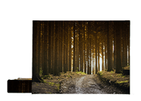 tuincanvas