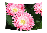 foto in de tuin