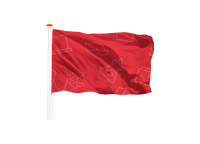 vlaggen
